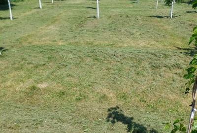 Casa 3 camere.suprafata utila 100mp, teren 2100mp ,spre vanzare in Sacel - 11