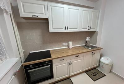 Apartament renovat ,mobilat, utilat nou in Grigorescu - 10