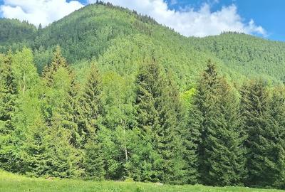 Teren de 300 mp, în Râu de Mori - 2