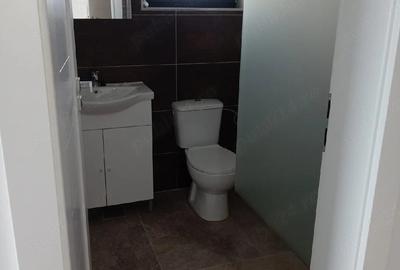 Casă cu 6 camere cu Teren 500 Mp în Băile Felix - 8