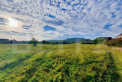 Teren intravilan 2400 mp, zona Centurii - 4