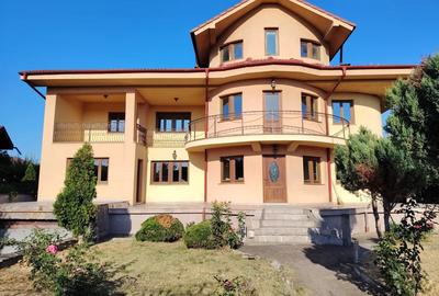 Vila spa?ioasa cu teren generos, garaj, zona ideala, direct proprietar - 6