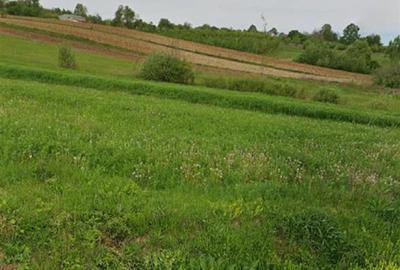Teren agricol extravilan de 24000 mp, în Drăgești - 1
