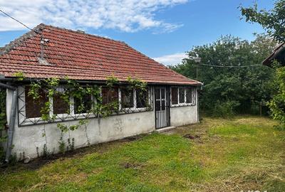 Casă cu 3 camere cu Teren 400 Mp în Ineu - 8