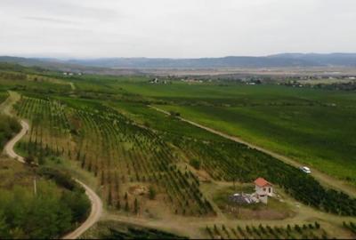 Teren extravilan de 230000 mp, în Vernești - 5