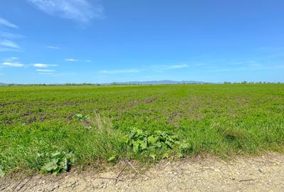 Teren intravilan, 1.7 hectare, Stupini Strada Barsei - 5