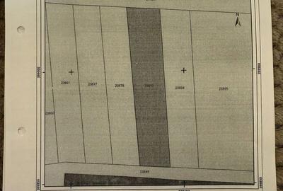 Teren de 1000 mp, în Dumbrăvești - 4