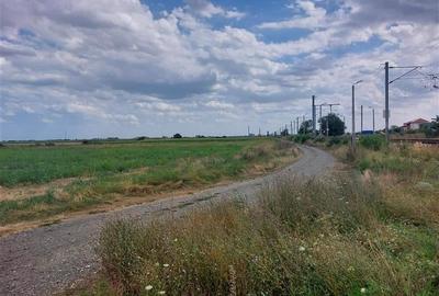Ocazie!!! Teren cu PUZ pentru hala in Sofronea! - 5
