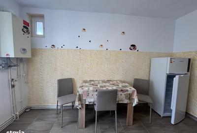 Apartament cu 2 camere semidecomandat în Central - 10