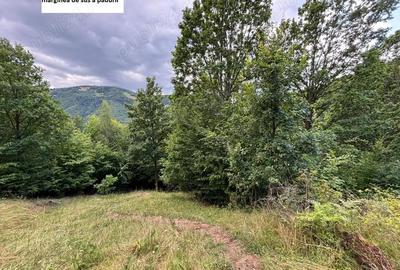 Teren de 35000 mp, în Parva - 5