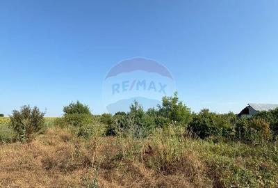 Teren Tartasesti langa complex Buna Ziua - 3