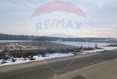 Teren Construcții de 6210 mp, în Ciolpani - 5