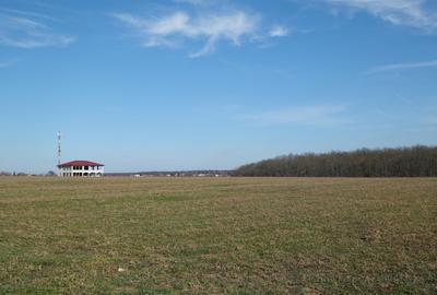 Teren în Găneasa - 6