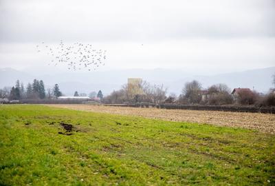 Lot de teren intravilan – 467 mp | Stupini, Strada Albinelor - 10