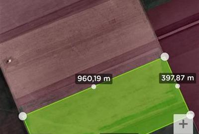 Teren agricol extravilan de 300000 mp, în Matca - 1