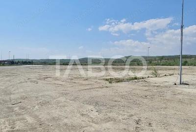 Teren de 40000 mp, în Teiu - 1