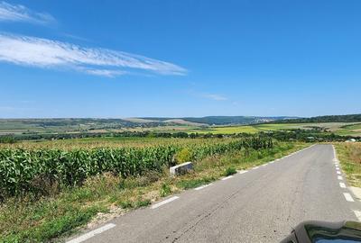 Teren de 21000 mp, în Scânteia - 5