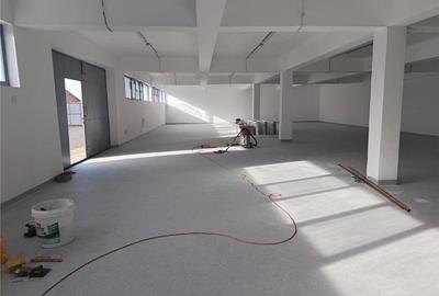 Spațiu industrial, de 400 mp, în Mureșeni