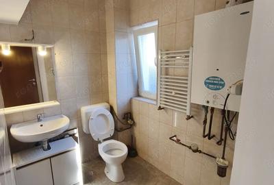 Apartament la casa Dumbravita 300 euro - 8