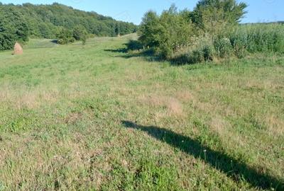 Teren în Valea Albă - 7