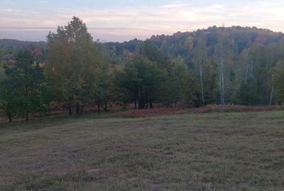 Spațiu comercial, în Ineu - 7