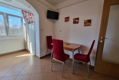 Apartament 3 camere Nicolina - Lidl - 10