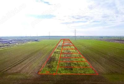 Teren de 520 mp, în Berceni - 8