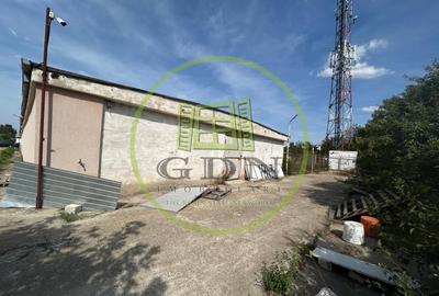 Teren Construcții intravilan de 6823 mp, în Cârcea - 16