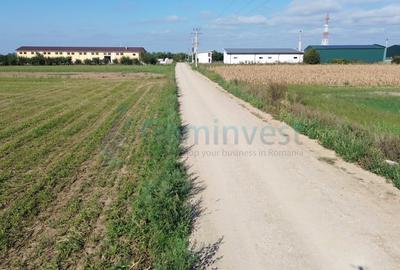 Gaminvest Teren intravilan de vanzare, 66400 mp, langa Oradea, Bihor ,V4117 - 10