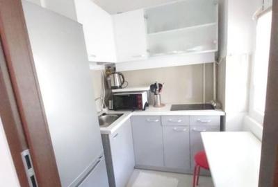 Garsoniera de inchiriat langa Parc Tineretului - 6