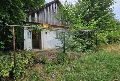 Casă individuală cu 2 camere cu Teren 9200 Mp în Pădureni (Șendriceni) - 18