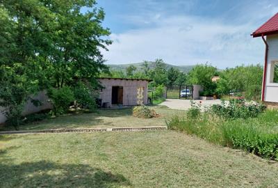 Casă cu 4 camere cu Teren 1500 Mp în Central - 1