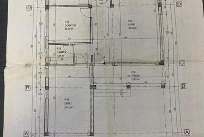 Casa individuala, Lot 300 mp, Parter - Pantelimon - 13