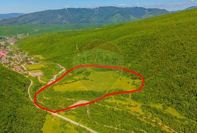 Teren 128.000 mp-Sacele-zona Garcini/ Intravilan - 8