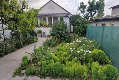 Casa cu suflet in centrul Medgidiei- gradina superba - 22