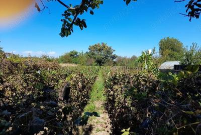 Casă cu 3 camere în Gruiu - 3