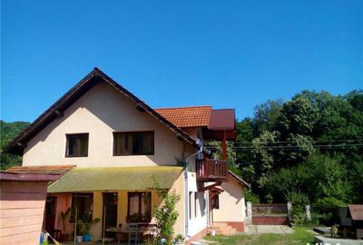 Casă cu 6 camere cu Teren 4000 Mp în Săvârșin - 8