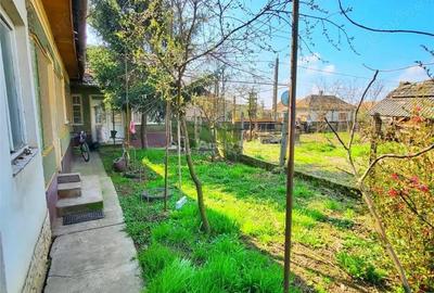 Casă cu Teren 2000 Mp în Sâniob - 2