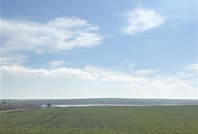 Teren Construcții intravilan de 700 mp, în Sud