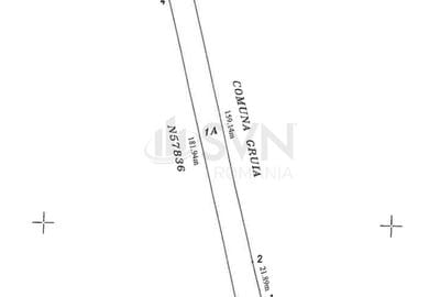 REL4000945 Teren de vanzare in Snagov - 10