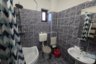 Garsonieră semidecomandată, mobilată în Ana Ipătescu - 13
