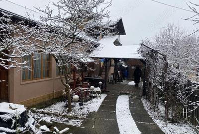 Casă cu Teren 480 Mp în Central - 5