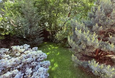 PADUREA BANEASA | LICEUL FRANCEZ | VILA CU 5 CAMERE DISPONIBILA IMEDIAT | DN1 - 2