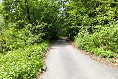 Pensiune Bra?ov, zona Calea Bucure?ti, construc?ie 2020. - 3