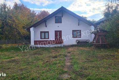 Casă cu 2 camere în Domnești - 2