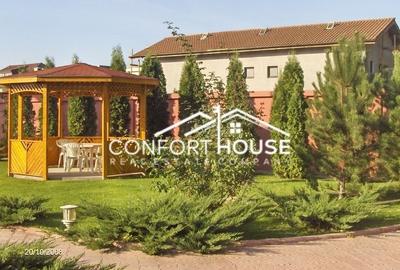 VILA D+P+E+M, 12 camere, piscina , padure, IANCU NICOLAE - 12