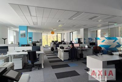 Birou, de 520 mp, în Romană - 10
