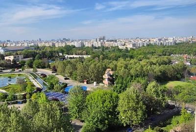 Garsonieră în Tineretului - 10