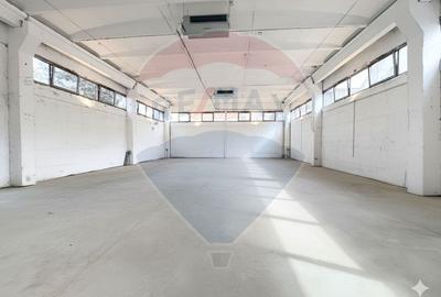 Spatiu comercial/hala in zona Freidorf langa drumul principal - 2