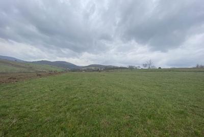Teren de 5400 mp, în Vârciorog - 1